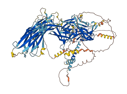 TMEM132A 3D structure