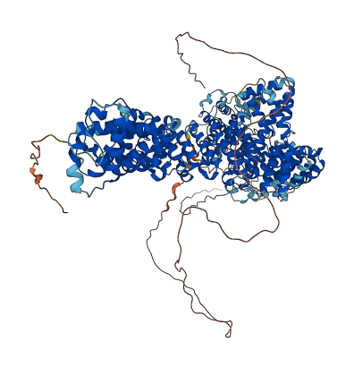 PDS5A 3D structure