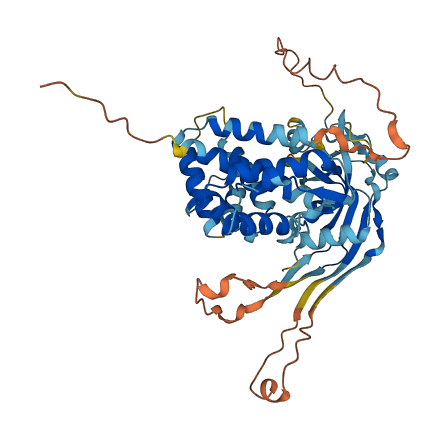 Gsdmc2 3D structure