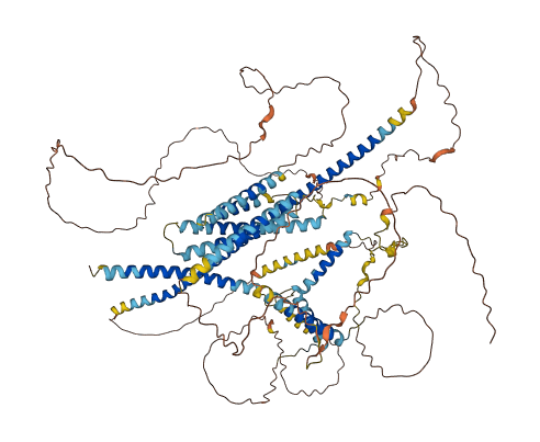 KIAA0753 3D structure