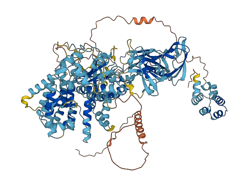 Nlrp1a 3D structure