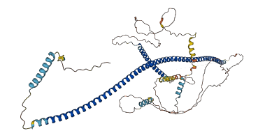CCDC27 3D structure