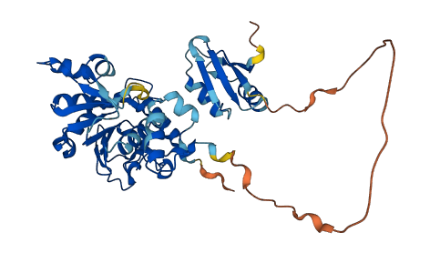 MTHFSD 3D structure
