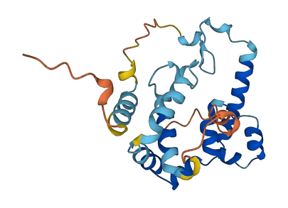 TBC1D28 3D structure