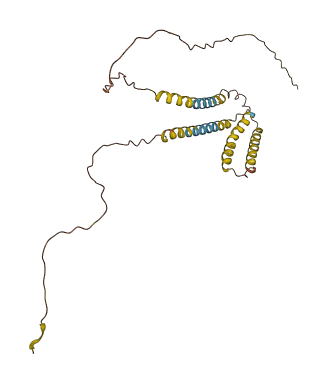 ODF4 3D structure