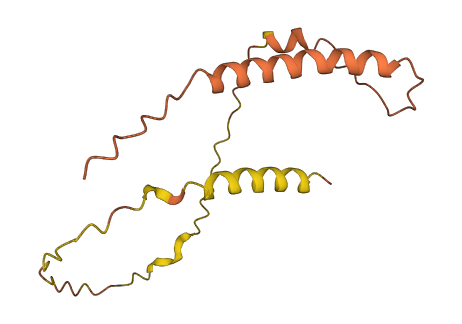 C5orf64 3D structure