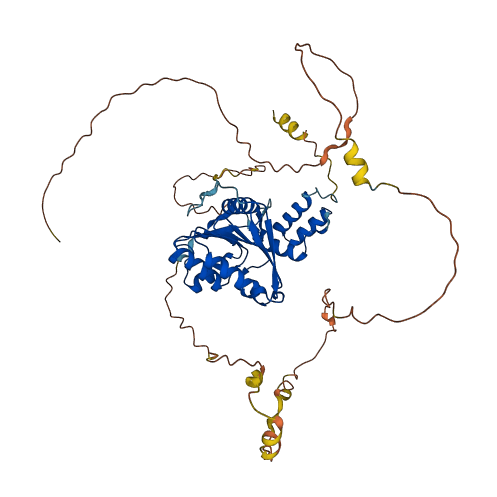 FAM83E 3D structure