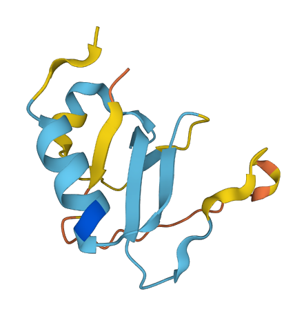 C17orf58 3D structure