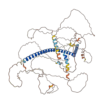 KIZ 3D structure