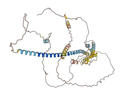 TMEM266 3D structure