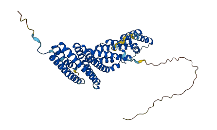 EXOC3L2 3D structure