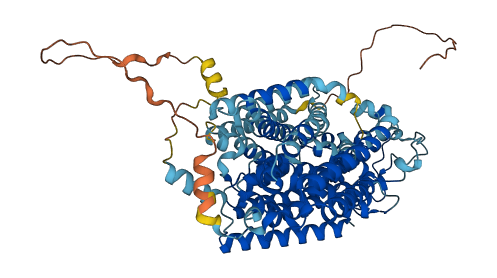 SLC5A9 3D structure