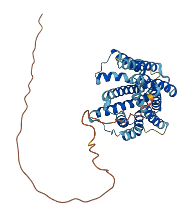 SLC35G1 3D structure