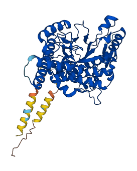 HYAL4 3D structure