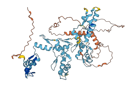 ZNF181 3D structure