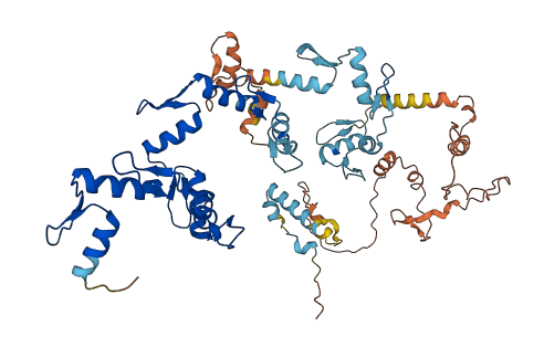 ZNF674 3D structure