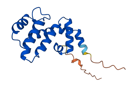 RGS21 3D structure
