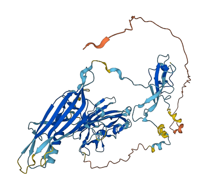 TCTN1 3D structure