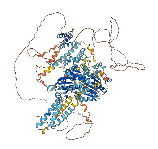 ERCC6L 3D structure
