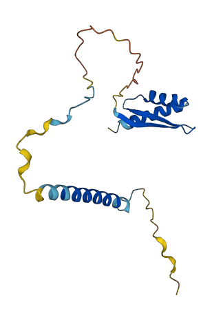 C2orf68 3D structure