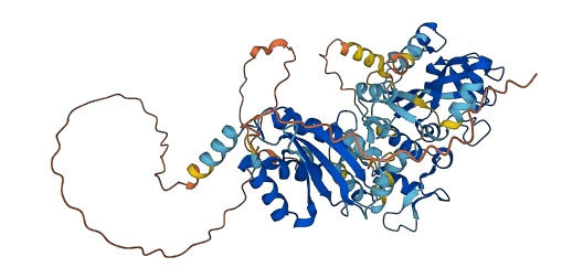 PARP6 3D structure
