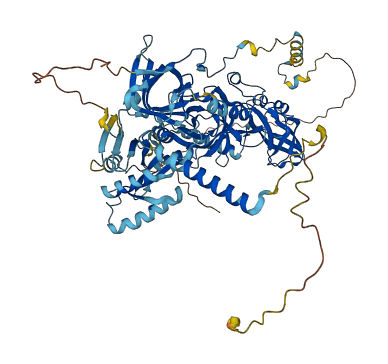 TSR1 3D structure