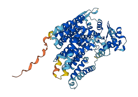 DPY19L1 3D structure