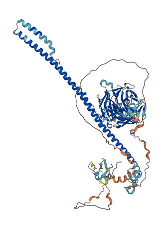 TRIM71 3D structure