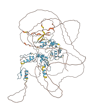 ZXDC 3D structure
