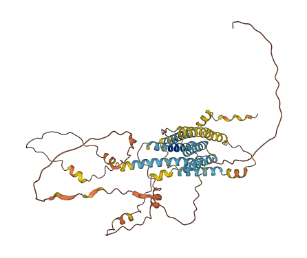 TMEM44 3D structure