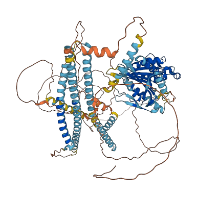 KIF19 3D structure