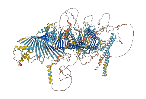 ATG2A 3D structure
