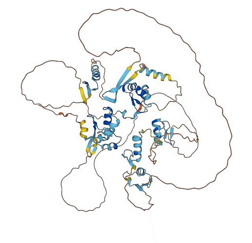ZNF800 3D structure