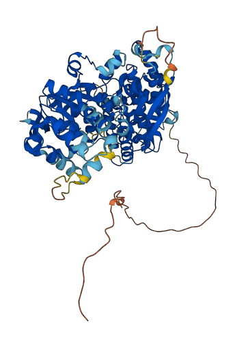 ASTE1 3D structure