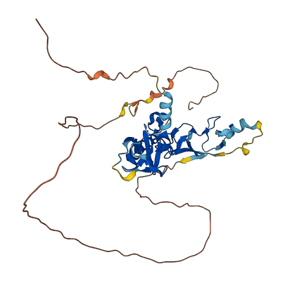 PRICKLE4 3D structure