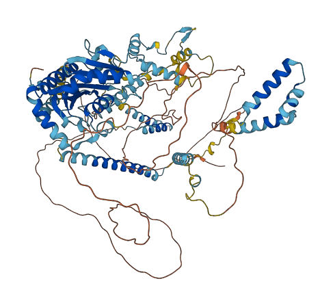 CWF19L2 3D structure