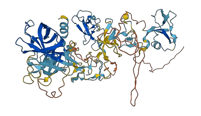 MST1L 3D structure