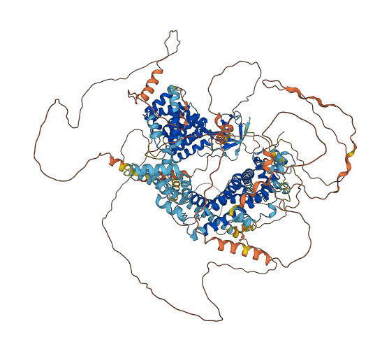 FHOD3 3D structure