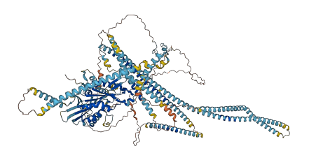 KIF4B 3D structure