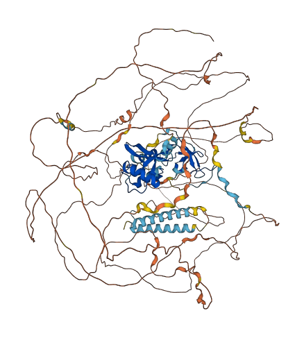 SKOR2 3D structure
