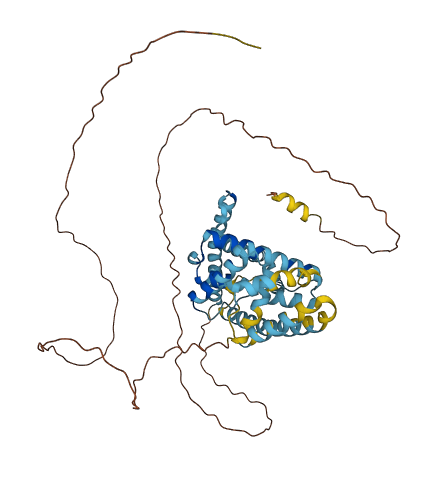 LETM2 3D structure