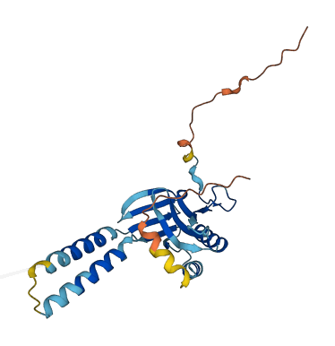 TMEM249 3D structure