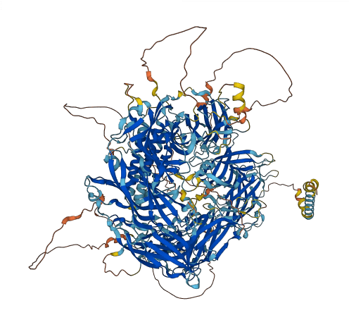 FER1L6 3D structure