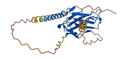Pilrb2 3D structure