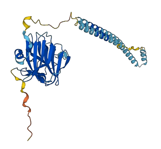TRIM16L 3D structure