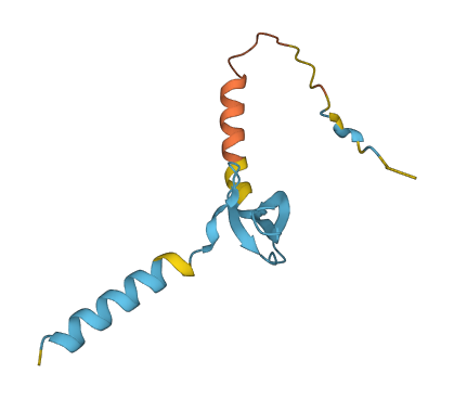 Defb20 3D structure