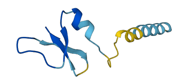 Defb41 3D structure