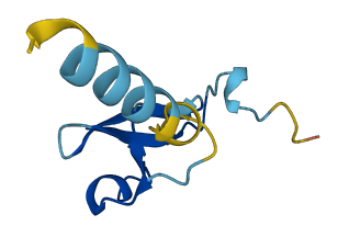 DEFB136 3D structure