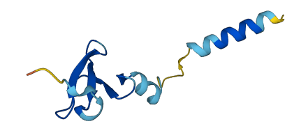 DEFB135 3D structure
