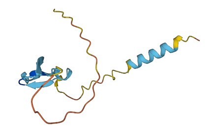 DEFB116 3D structure